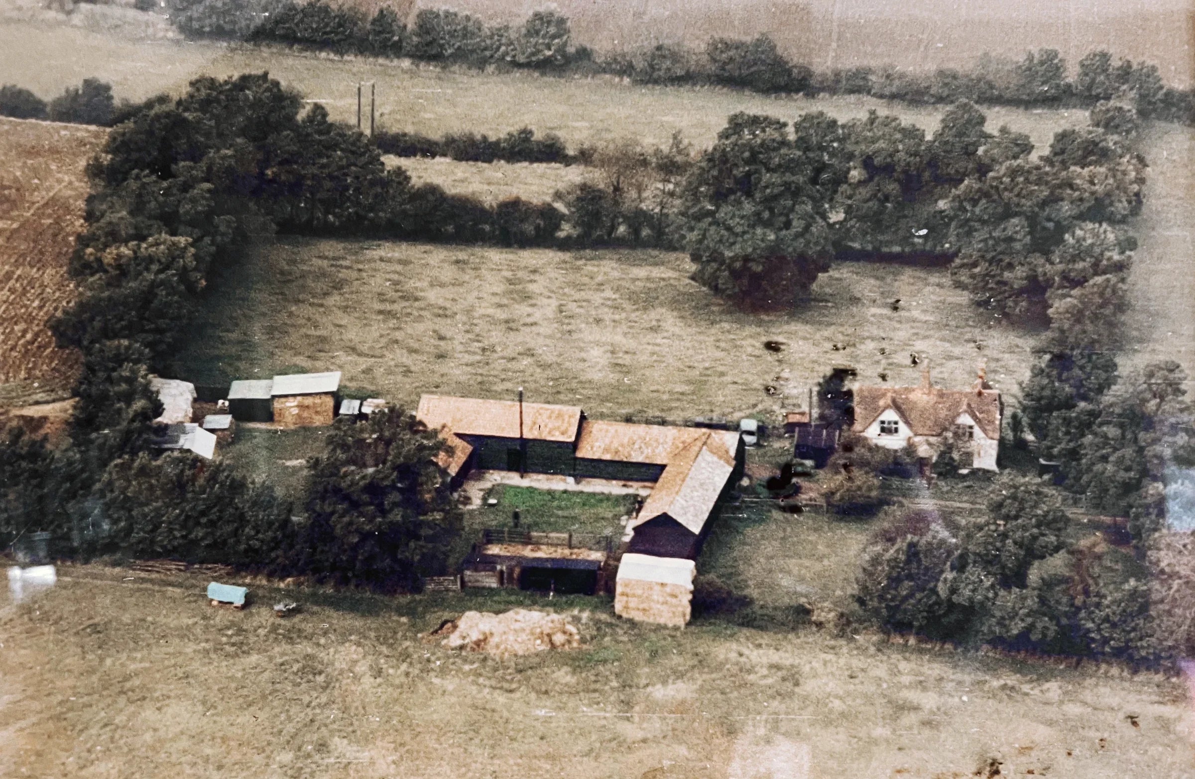 How did Hungerhill Vineyard start ?