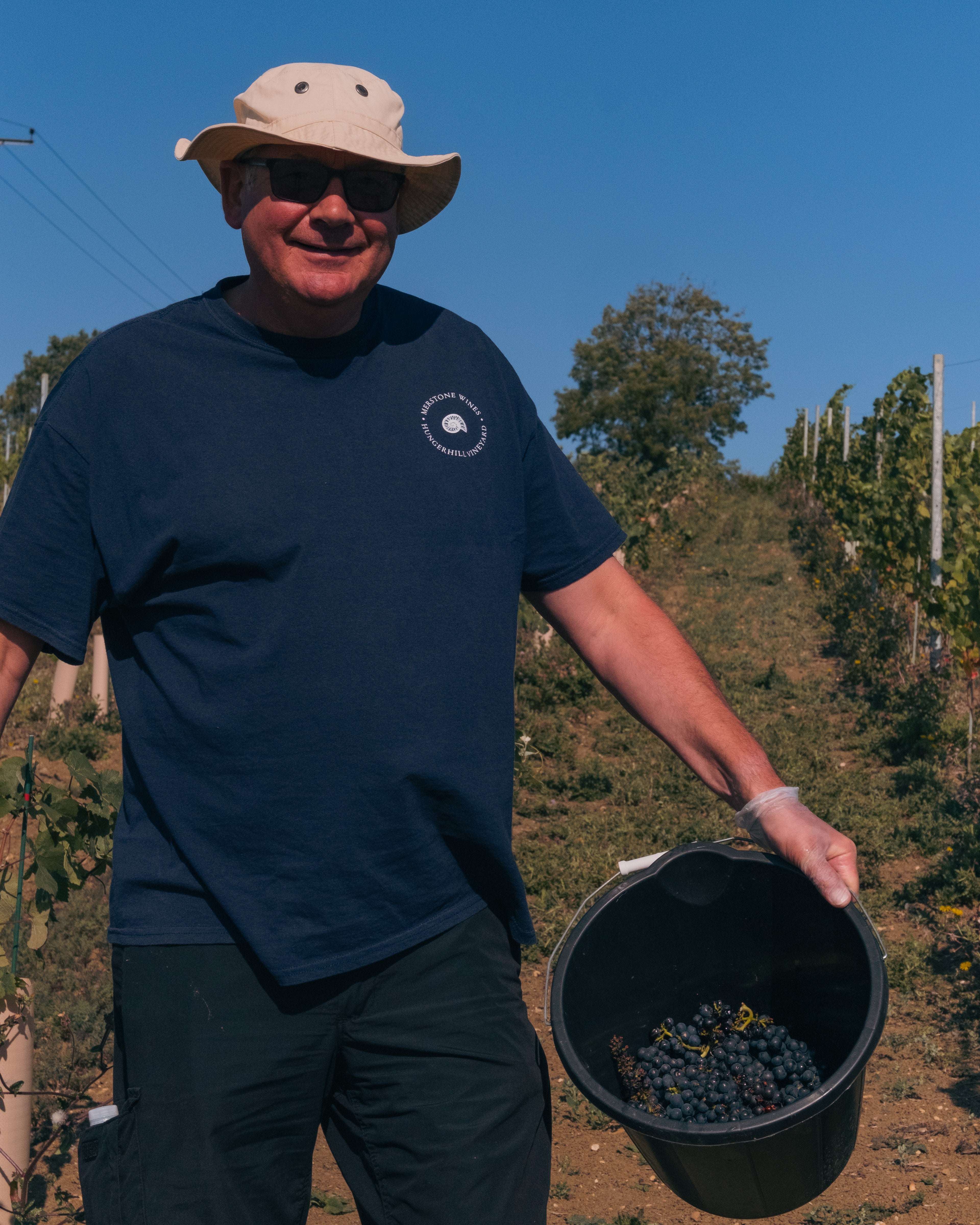 Grape Harvest 2026